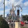 dalbashir